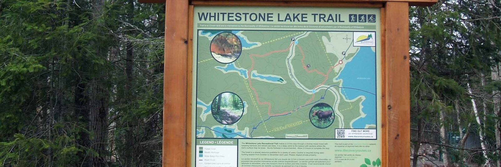 whitestone lake trails