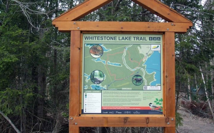 whitestone lake trails