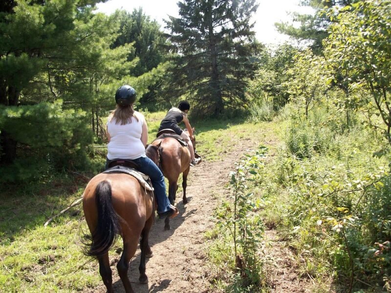 horseback riding