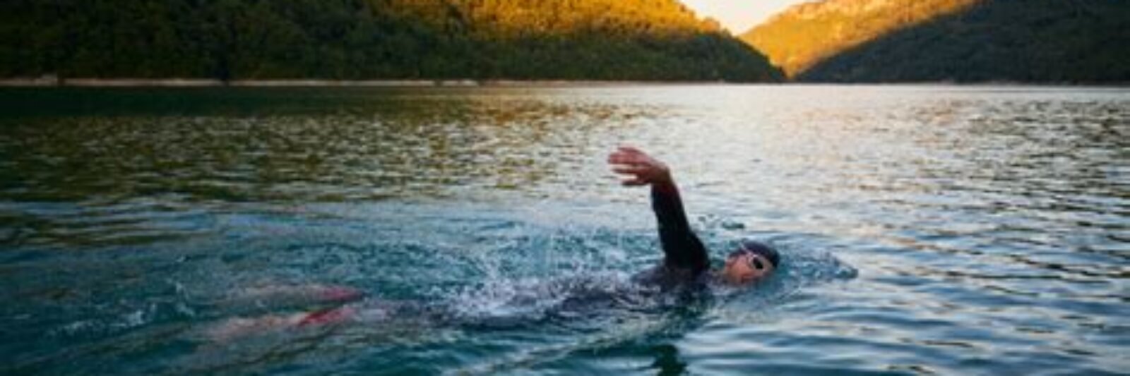 swimmer