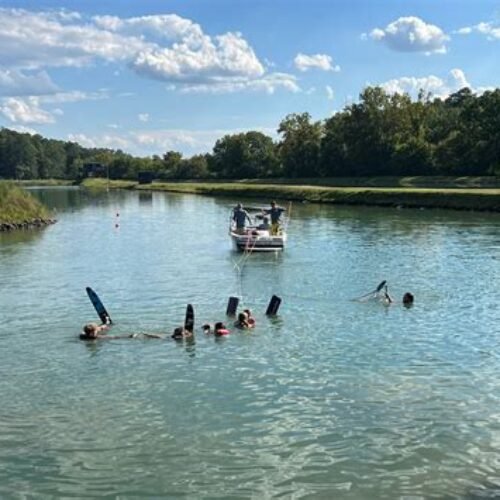 swimmers